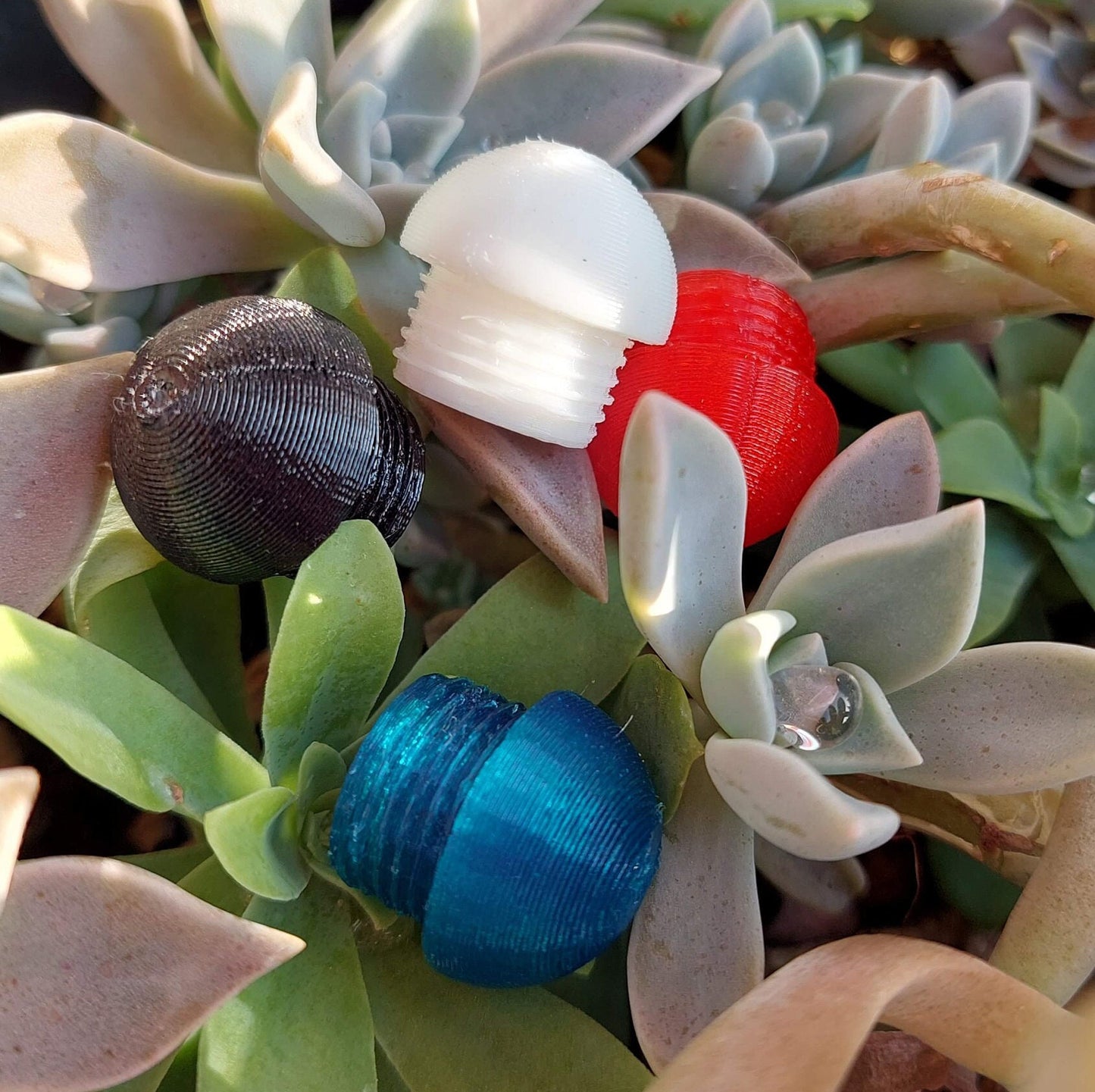 Pro Jam Plugs for Quad Skates