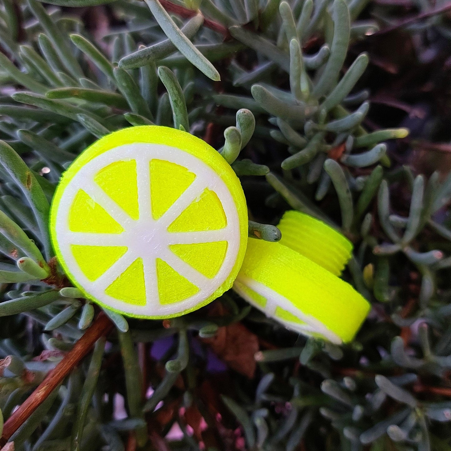 Jam Plugs for Quad Skates - Lemon/Orange (pair)